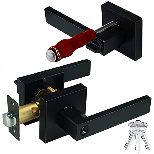 HADE LION Entry Matte Black Door Handle Locks with Keys, Square