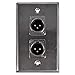 Seismic Audio SA-PLATE40 Stainless Steel Wall Plate Dual XLR Male Connectors for Cable Installation