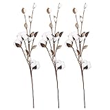 VGIA 20 Inch Cotton Stems Farmhouse Style Display Filler -Floral Decoration-Rustic Wedding Centerpiece
