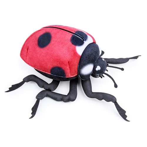 Ladybug