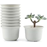 T4U 3.5 Inch Plastic Round succulent Plant Pot/Cactus Plant Pot Flower Pot/Container/Planter Package 1 Pack of 10
