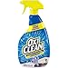 OxiClean Carpet & Area Rug Stain Remover, 24 fl oz (1)