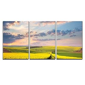 3 Piece Canvas Wall Art - Yellow Flowering Fields, Ground Road and Beautiful Valley, Nature Spring Landscape - Modern Home Art Stretched and Framed Ready to Hang - 16"x24"x3 Panels