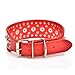 Pet Kingdom 18-24'' Leather Studded Large Dog Collar 4 Colors 3 Size Pet Collar (Red, Medium)