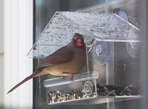 Window Bird Feeder By Yellow Beaks The Best Clear Acrylic