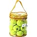 Pressure-Less Briton Tennis Balls with Carrying Bag (Pack of 24) by Briton