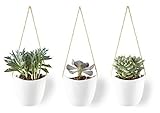 Modern Ceramic Hanging Planters, Succulent Plant Pots, Set of 3