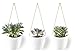 Modern Ceramic Hanging Planters, Succulent Plant Pots, Set of 3