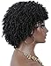 Kalyss Premium Synthetic Short Afro Kinky Curly Wigs for Black Women Realistic Black Curly Wigs Lightweight Soft Natural Curls Hair Wigs