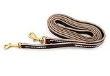 Leerburg's Leather Prong Collar Leash? - Brown - 6 ft x 3/4 in - Handmade by the Amish