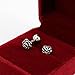 Women's Stainless Steel Rose Flower Screwback Stud Earrings (Silver) Bonnie
