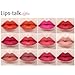 ETUDE HOUSE Dear My Blooming Lips Talk Chiffon 3.4g (# OR211)