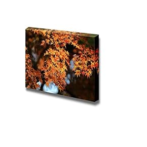 Beautiful Scenery Landscape Autumn Japanese Garden with Maple Wall Decor