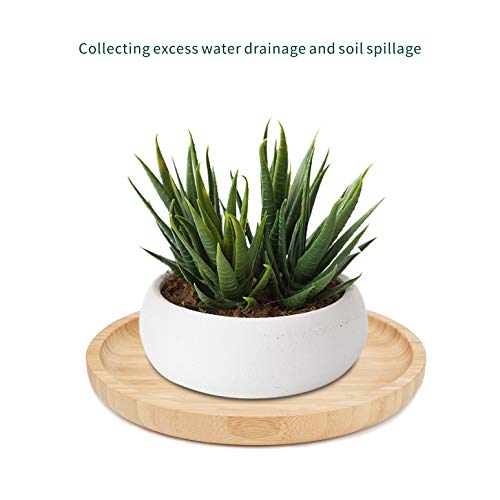 Bamboo Plant Saucer, Suitable for 68 inch Plant Pots, Bamboo Plant