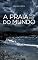 Livro A praia no Fim do Mundo.