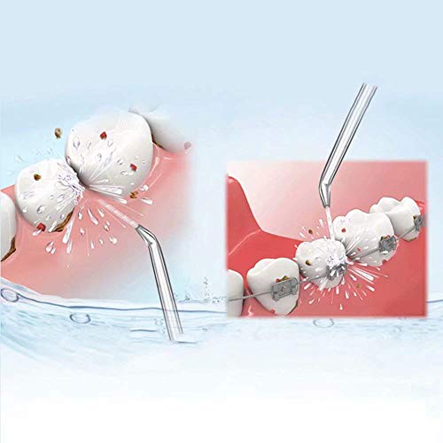 Water Flosser Power Floss,Electric Oral Irrigator Home Smart Teeth Calculus Dental Cleansing Water Floss,Black