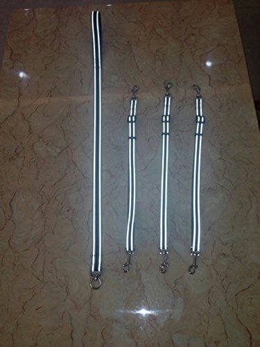 image for cocopet Night Version Heavy Duty 3 Way Dog Coupler Braid Leash No Tang