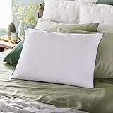 Sleep Innovations 2-in-1 Memory Foam Pillow and