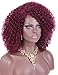 Kalyss Burgundy red Short Afro Kinky Curly Wigs for Women Side Curved Part Natural Looking Big,Bouncy and Super Soft Premium Synthetic Afro Curls Wigs for Women