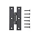 Renovator's Supply Cabinet Hinge Black Iron H Flush 3 Inch Set of 2