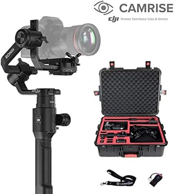 dji ronin pro