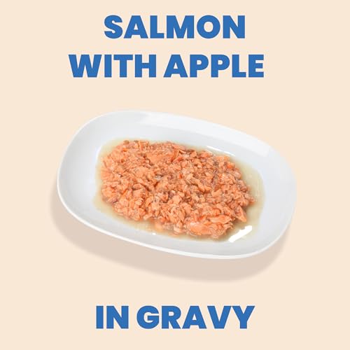 ALMO NATURE HQS COMPLETE CAT WET CAT FOOD SALMON RECIPE WITH APPLE IN GRAVY – GRAIN-FREE CAT FOOD CANNED, 2.47 OZ (PACK OF 12)