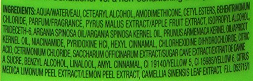 GARNIER FRUCTIS SLEEK AND SHINE INTENSELY SMOOTH LEAVE-IN CONDITIONING CREAM, 10.2 FLUID OUNCE
