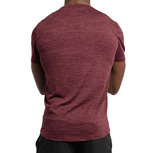 Alive Men's Tee Shirt Active Quick Dry Workout Short Sleeve Shirts Crew Neck (Biking Red Heather, Medium)