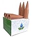 Plant Self-Watering spikes-Automatic Terracotta Plant Watering Stakes-Vacation Watering Device- Self-Irrigation Watering System-Care for Indoor Outdoor Office Flowers（6-Pack）