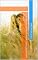 Livro 13 Segredos Rápidos para Conquistar um Homem