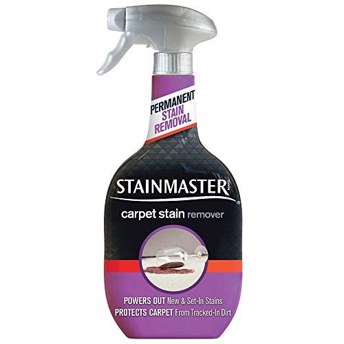 STAINMASTER Carpet Stain Remover Cleaner, 22 Fl Oz - Thumbnail 7