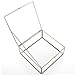 Vintage Brass & Clear Glass Decorative Box, 9.5-Inch Plant Terrarium Display, Jewelry Organizer with Lid