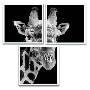 for Living Room Bedroom Home Artwork Animal Paintings x3 Panels