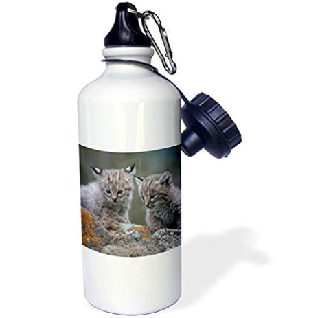 Moson Botella de Agua niños, niñas, bebés, Animales, Gatitos, Lynx ...