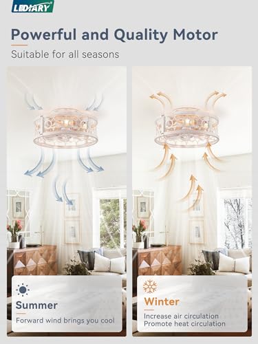 LEDIARY Caged Ceiling Fan with Light and Remote, 16in Small Low Profile Ceiling Fans with Lights, 6 Speed and Reversible Farmhouse Flush Mount Ceiling Fan for Bedroom, Kitchen, Living room