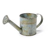 Better Crafts Metal Watering Can