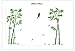 ufengke Chinese Stytle Green Bamboo and Bird Wall Decals, Living Room Bedroom TV Wall Removable Wall Stickers Murals