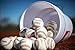 Rawlings Official League Competition Grade Youth Baseballs, Bucket of 30 ROLB1X Balls