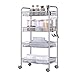 SINGAYE 4 Tier Metal Rolling Cart, Metal Storage Cart, Utility Cart, Silver