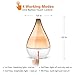 InnoGear 2019 Vase-Shaped Essential Oil Diffuser, Elegant Transparent Cover Cool Mist Humidifier Ultrasonic Aromatherapy Diffusers with Unique Breathing Lights Waterless Auto-off for Home Yoga Office