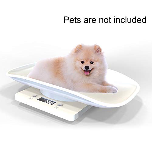UKSAT Pet Scale,LCD Display Automatic Dog Cat Pet Scale,Digital Scale for Cat Dog Parrots Hamster and Other Small Animals