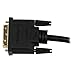 StarTech.com 8in HDMI to DVI-D Video Cable Adapter - HDMI Female to DVI Male - HDMI to DVI Dongle Adapter Cable (HDDVIFM8IN),Black