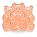 Albanese Confectionery Pink Grapefruit Gummi Bears, 5 Pound Bag