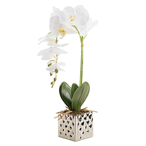 UPC 713831859333, Artificial Phaleanopsis Arrangement with Vase Decorative Orchid Flower Bonsai (White)