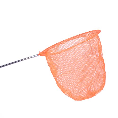 image for Modern Bethel 3 Pack Butterfly Nets Telescopic Bug Nets for Catching I