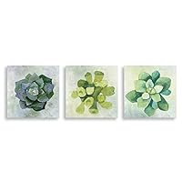 3Piece Canvas Wall Art - Succulent Plant - Canvas Prints Home Artwork Decoration for Living Room,Bedroom - 12