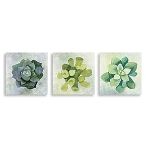 3Piece Canvas Wall Art - Succulent Plant - Canvas Prints Home Artwork Decoration for Living Room,Bedroom - 12"x12"x3 Panels