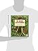 El Gran Capoquero: Un Cuento de la Selva Amazonica (The Great Kapok Tree: A Tale of the Amazon Rain Forest)
