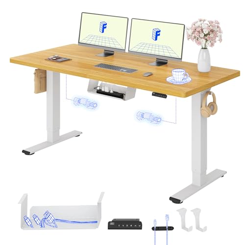 FLEXISPOT Höhenverstellbarer Schreibtisch elektrisch, Doppelmotor 160x80 cm