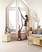 Dirt Devil M085590RED Featherlite Bagged Upright Vacuum, Red